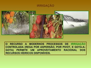 IRRIGAÇÃO O RECURSO A MODERNOS PROCESSOS DE  IRRIGAÇÃO  CONTROLADA (REGA POR ASPERSÃO, POR PIVOT, E GOTA-A-GOTA) PERMITE UM APROVEITAMENTO RACIONAL DOS RECURSOS HÍDRICOS DISPONÍVEIS. 