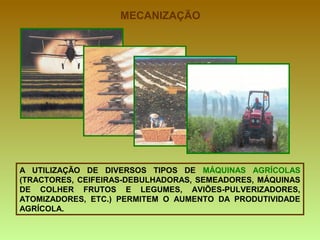 MECANIZAÇÃO A UTILIZAÇÃO DE DIVERSOS TIPOS DE  MÁQUINAS AGRÍCOLAS  (TRACTORES, CEIFEIRAS-DEBULHADORAS, SEMEADORES, MÁQUINAS DE COLHER FRUTOS E LEGUMES, AVIÕES-PULVERIZADORES, ATOMIZADORES, ETC.) PERMITEM O AUMENTO DA PRODUTIVIDADE AGRÍCOLA.  