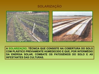 SOLARIZAÇÃO A  SOLARIZAÇÃO,  TÉCNICA QUE CONSISTE NA COBERTURA DO SOLO COM PLÁSTICO PREVIAMENTE HUMEDECIDO E QUE, POR INTERMÉDIO DA ENERGIA SOLAR, COMBATE OS PATOGÉNIOS DO SOLO E AS INFESTANTES DAS CULTURAS. 