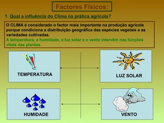 TEMPERATURA HUMIDADE LUZ SOLAR VENTO Factores Físicos: 1.  Qual a influência do Clima na prática agrícola ? O CLIMA é considerado o factor mais importante na produção agrícola porque condiciona a distribuição geográfica das espécies vegetais e as variedades cultivadas.  A temperatura, a humidade, a luz solar e o vento intervêm nas funções vitais das plantas. 