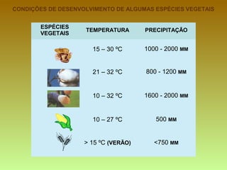 CONDIÇÕES DE DESENVOLVIMENTO DE ALGUMAS ESPÉCIES VEGETAIS <750  MM > 15 ºC  (VERÃO) 500  MM 10 – 27 ºC 1600 - 2000  MM 10 – 32 ºC 800 - 1200  MM 21 – 32 ºC 1000 - 2000  MM 15 – 30 ºC PRECIPITAÇÃO TEMPERATURA ESPÉCIES VEGETAIS 