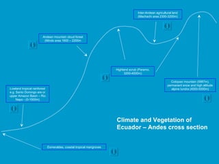 Cotopaxi mountain (5987m), permanent snow and high altitude alpine tundra (4000-5000m) Andean mountain cloud forest (Mindo area 1600 – 2200m Highland scrub (Paramo, 3200-4000m) Inter-Andean agricultural land (Machachi area 2300-3200m) Lowland tropical rainforest e.g. Santo Domingo are or upper Amazon Basin – Rio Napo - (0-1500m) Esmeraldes, coastal tropical mangroves Climate and Vegetation of Ecuador – Andes cross section 