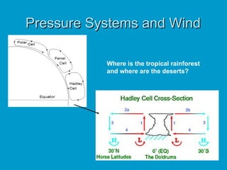 Pressure Systems and Wind Where is the tropical rainforest and where are the deserts? 