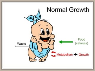 Normal Growth
Food
(calories)
Waste
Metabolism Growth
 