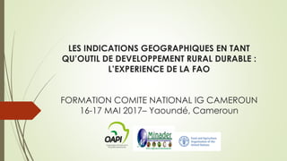 LES INDICATIONS GEOGRAPHIQUES EN TANT
QU’OUTIL DE DEVELOPPEMENT RURAL DURABLE :
L’EXPERIENCE DE LA FAO
FORMATION COMITE NATIONAL IG CAMEROUN
16-17 MAI 2017– Yaoundé, Cameroun
 