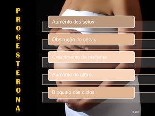 Lactação   Aumento dos seios


           Obstrução do cérvix


           Crescimento da placenta


           Aumento do útero


           Bloqueio dos ciclos


                                     IL 2012
 