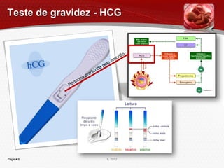 Teste de gravidez - HCG




Page  6            IL 2012
 