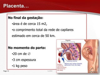 Placenta…

      No final da gestação:
           •área é de cerca 15 m2,
           •o comprimento total da rede de capilares
           estimado em cerca de 50 km.


      No momento do parto:
           •20 cm de 
           •3 cm espessura
           •1 kg peso
Page  8                             IL 2012
 