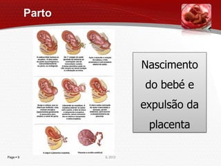 Parto



                             Nascimento
                             do bebé e
                             expulsão da
                              placenta

Page  9           IL 2012
 