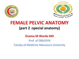 FEMALE	
  PELVIC	
  ANATOMY	
  
(part	
  2	
  :special	
  anatomy)	
  
Osama	
  M	
  Warda	
  MD	
  
Prof.	
  of	
  OBS/GYN	
  
Faculty	
  of	
  Medicine-­‐Mansoura	
  University	
  
 