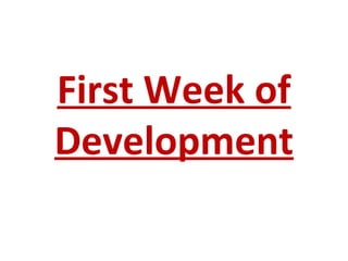 First Week of
Development
 