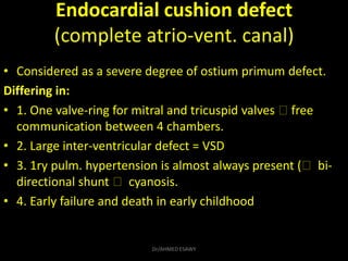 Endocardial cushion defect
(complete atrio-vent. canal)
• Considered as a severe degree of ostium primum defect.
Differing...