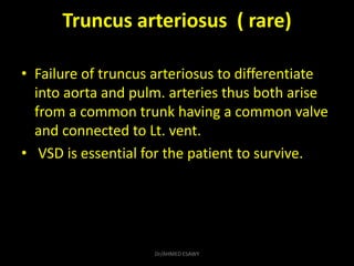 Truncus arteriosus ( rare)
• Failure of truncus arteriosus to differentiate
into aorta and pulm. arteries thus both arise
...