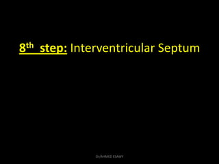 8th step: Interventricular Septum
Dr/AHMED ESAWY
 