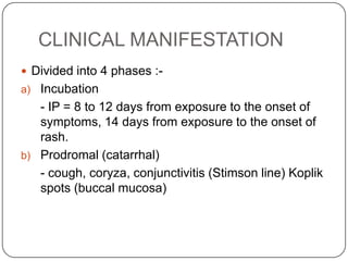CLINICAL MANIFESTATIONDivided into 4 phases :-Incubation- IP = 8 to 12 days from exposure to the onset of symptoms, 14 days from exposure to the onset of rash.Prodromal (catarrhal)- cough, coryza, conjunctivitis (Stimson line) Koplik spots (buccal mucosa) 
