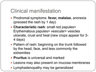 Clinical manifestationProdromal symptoms: fever, malaise, anorexia (preceed the rash by 1 day)Characteristic rash: small red papules> Erythematous papules> vesicular> vesicles ulcerate, crust and heal (new crops appear for 3-4 days)Pattern of rash: beginning on the trunk followed by the head, face, and less commonly the extremitiesPruritusis universal and markedLesions may also present on mucosa membranesLymphadenopathy may be generalized 