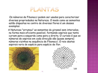 Os números de Fibonacci podem ser usados para caracterizar
diversas propriedades na Natureza. O modo como as sementes
estão dispostas no centro de diversas flores é um desses
exemplos:
A Natureza "arrumou" as sementes do girassol sem intervalos,
na forma mais eficiente possível, formando espirais que tanto
curvam para a esquerda como para a direita. O curioso é que os
números de espirais em cada direcção são (quase sempre)
números vizinhos na sequência de Fibonacci. O raio destas
espirais varia de espécie para espécie de flor.




                            11
 