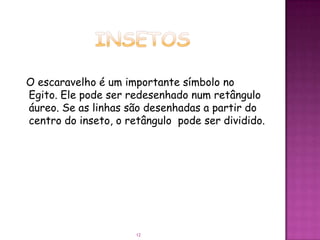 O escaravelho é um importante símbolo no
Egito. Ele pode ser redesenhado num retângulo
áureo. Se as linhas são desenhadas a partir do
centro do inseto, o retângulo pode ser dividido.




                      12
 