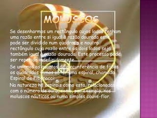 Se desenharmos um rectângulo cujos lados tenham
uma razão entre si igual à razão dourada este
pode ser dividido num quadrado e noutro
rectângulo cuja razão entre os dois lados seja
também igual à razão dourada. Este processo pode
ser repetido indefinidamente…
Se unirmos os quartos de circunferência de todos
os quadrados vamos obter uma espiral, chamada
Espiral de Fibonacci:
Na natureza há espirais como esta, relacionadas
com o número de ouro, como, por exemplo, nos
moluscos náuticos ou numa simples couve-flor.


                        13
 