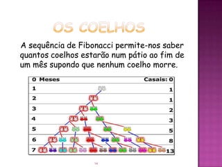 A sequência de Fibonacci permite-nos saber
quantos coelhos estarão num pátio ao fim de
um mês supondo que nenhum coelho morre.




                   14
 