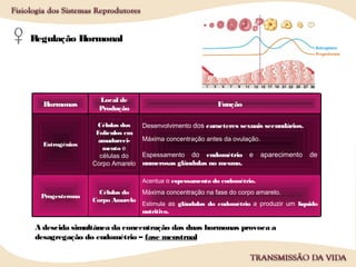 Regulação Hormonal
Acentua o espessamento do endométrio.
Máxima concentração na fase do corpo amarelo.
Estimula as glândulas do endométrio a produzir um líquido
nutritivo.
Células do
Corpo Amarelo
Progesterona
Desenvolvimento dos caracteres sexuais secundários.
Máxima concentração antes da ovulação.
Espessamento do endométrio e aparecimento de
numerosas glândulas no mesmo.
Células dos
Folículos em
amadureci-
mento e
células do
Corpo Amarelo
Estrogénios
Função
Local de
Produção
Hormonas
A descida simultânea da concentração das duas hormonas provoca a
desagregação do endométrio – fase menstrual
 