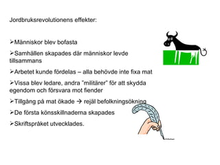 Jordbruksrevolutionens effekter: Människor blev bofasta Samhällen skapades där människor levde tillsammans Arbetet kunde fördelas – alla behövde inte fixa mat Vissa blev ledare, andra ”militärer” för att skydda  egendom och försvara mot fiender Tillgång på mat ökade    rejäl befolkningsökning De första könsskillnaderna skapades Skriftspråket utvecklades. 