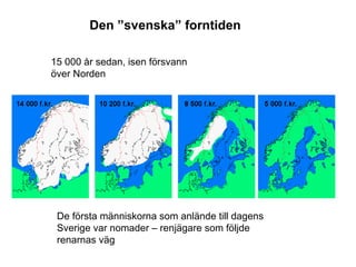 Den ”svenska” forntiden De första människorna som anlände till dagens Sverige var nomader – renjägare som följde renarnas väg 15 000 år sedan, isen försvann över Norden 