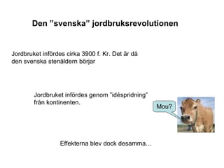 Den ”svenska” jordbruksrevolutionen Jordbruket infördes cirka 3900 f. Kr. Det är då den svenska stenåldern börjar Jordbruket infördes genom ”idéspridning” från kontinenten. Effekterna blev dock desamma… Mou? 