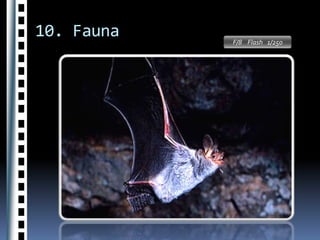 -  Cuadrar el tipo de luz (Balance de blancos)f/ 8     3 seg