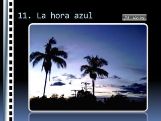 10. FaunaF/8    Flash   1/250