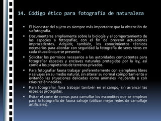 Tres a cuatro días antes de llena 5 a 10 minutos