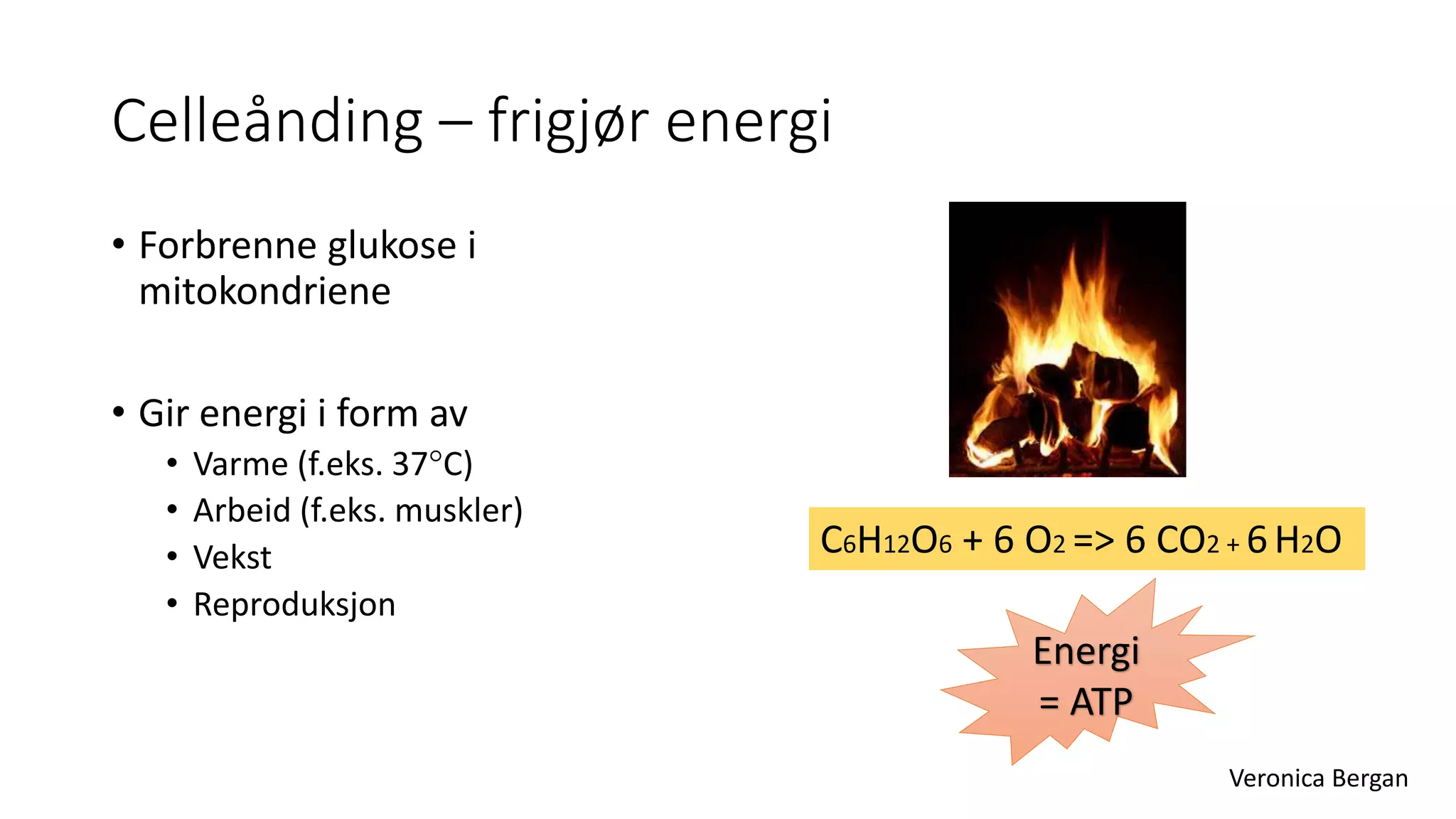 2 Fotosyntese Og Celle nding Kap 1 I Tellus 10 Aschehoug PPTX 2-fotosyntese-og-celle-nding-kap-1-i-tellus-10-aschehoug-pptx
