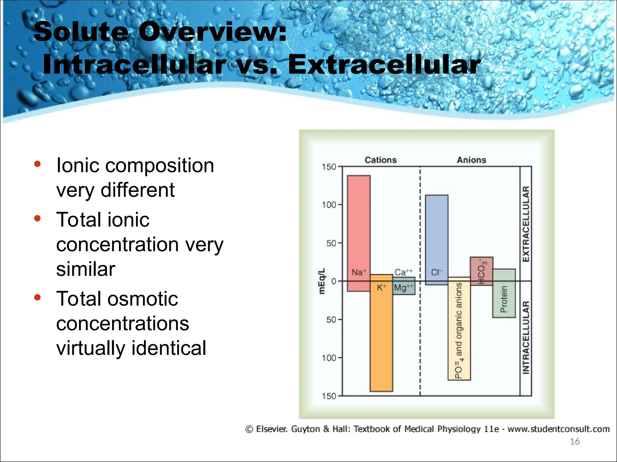 Solute Overview:
Intracellular vs. Extracellular
• Ionic composition
very different
• Total ionic
concentration very
similar
• Total osmotic
concentrations
virtually identical
16
 