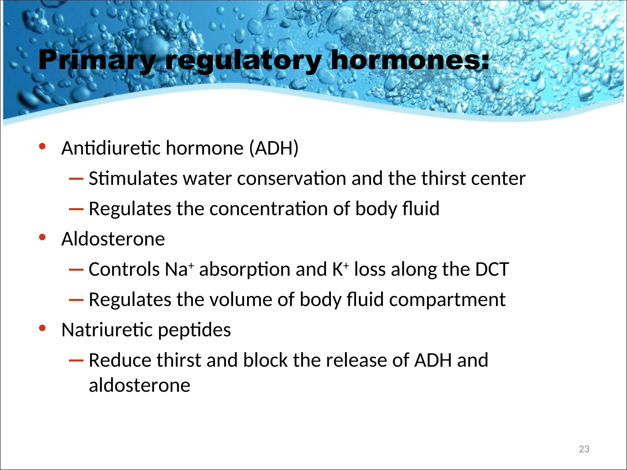Primary regulatory hormones:
• Antidiuretic hormone (ADH)
– Stimulates water conservation and the thirst center
– Regulates the concentration of body fluid
• Aldosterone
– Controls Na+
absorption and K+
loss along the DCT
– Regulates the volume of body fluid compartment
• Natriuretic peptides
– Reduce thirst and block the release of ADH and
aldosterone
23
 