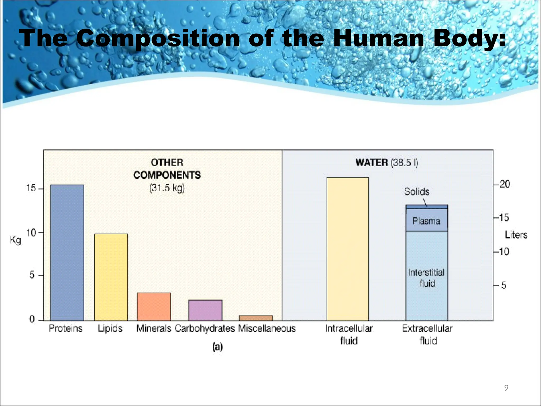 The Composition of the Human Body:
9
 