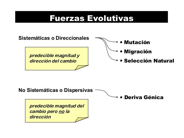 2 fuerzas evolutivas