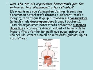 • Com s’ho fan els organismes heteròtrofs per fer
  entrar un tros d’espagueti a les cèl·lules?
  Els organismes que s’alimenten d’altres éssers vius
  s’anomenen heteròtrofs (hetero = diferent; trofs =
  menjar), dins d’aquest grup hi trobem els consumidors
  (animals) i els descomponedors (fongs i bacteris).
  Tots els organismes heterotrofs presenten sistemes
  digestius encarregats d’anar reduïnt el tamany de la
  ingesta fins a fer-ho tan petit que pugui entrar dins
  una cèl·lula, estem a nivell de nutrients (glúcids, lípids
  i proteïnes)
 