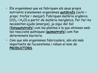 • Els organismes que es fabriquen els seus propis
  nutrients s’anomenen organismes autòtrofs (auto =
  propi; trofos = menjar). Fabriquen matèria orgànica
  (CO2 i H2O) a partir de matèria inorgànica. Per fer-ho
  necessiten ajuda (energia), ja sigui del Sol
  (fotoautotrofs) com les plantes o la que obtenen amb
  les reaccions químiques (quimiotrofs) com fan
  determinats bacteris.
• Com que són organismes fabricadors, són els més
  importants de l’ecosistema i reben el nom de
  PRODUCTORS.
 