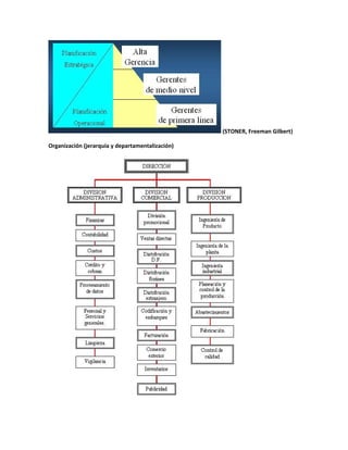 (STONER, Freeman Gilbert)
Organización (jerarquía y departamentalización)
 