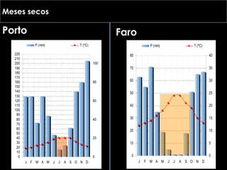 Meses secos Porto Faro 
