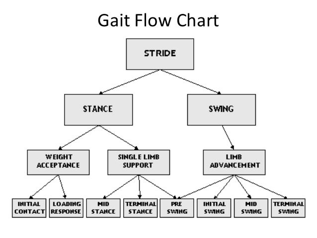 Gait Chart