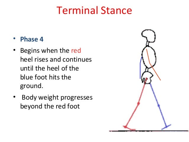 Gait Analysis