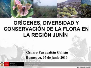 ORÍGENES, DIVERSIDAD Y CONSERVACIÓN DE LA FLORA EN LA REGIÓN JUNÍN  Genaro Yarupaitán Galván  Huancayo, 07 de junio 2010 