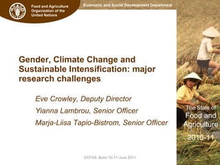 Gender, Climate Change and  Sustainable Intensification: major  research challenges Eve Crowley, Deputy Director Yianna Lambrou, Senior Officer  Marja-Liisa Tapio-Bistrom, Senior Officer CCFAS, Bonn 10-11 June 2011 