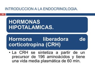 INTRODUCCION A LA ENDOCRINOLOGIA.
HORMONAS
HIPOTALAMICAS.
Hormona liberadora de
corticotropina (CRH)
• La CRH se sintetiza a partir de un
precursor de 196 aminoácidos y tiene
una vida media plasmática de 60 min.
28
 
