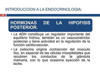 INTRODUCCION A LA ENDOCRINOLOGIA.
HORMONAS DE LA HIPOFISIS
POSTERIOR.
• La ADH constituye un regulador importante del
equilibrio hídrico, también es un vasoconstrictor
poderoso y tiene actividad en la regulación de la
función cardiovascular.
• La oxitocina origina contracción del músculo
liso, en especial de las células mioepiteliales que
recubren los conductos de la glándula
mamaria, con lo que ocasiona eyección de la
leche.
68
 