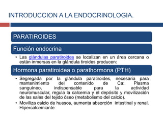 PARATIROIDES
Función endocrina
• Las glándulas paratiroides se localizan en un área cercana o
están inmersas en la glándula tiroides producen:
Hormona paratiroidea o parathormona (PTH)
• Segregada por la glándula paratiroides, necesaria para
mantenimiento del contenido de Ca: Plasma
sanguíneo, indispensable para la actividad
neuromuscular, regula la calcemia y el depósito y movilización
de las sales del tejido óseo (metabolismo del calcio).
• Moviliza calcio de huesos, aumenta absorción intestinal y renal.
Hipercalcemiante
INTRODUCCION A LA ENDOCRINOLOGIA.
 