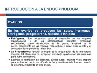 OVARIOS
En los ovarios se producen las sgtes. hormonas:
estrógenos, progesterona, relaxina e inhibina
• Estrógenos, Son necesarias para el desarrollo de los órganos
reproductores y de las características sexuales femeninas
secundarias, como distribución de la grasa, amplitud de la
pelvis, crecimiento de las mamas, vello púbico y axilar, estro o celo y el
comportamiento propio de la hembra.
• La Progesterona, función principal es la preparación de la membrana
mucosa del útero para la recepción del óvulo (producción de proteínas
para nutrir al embrión).
• Estimula la formación de placenta, cuerpo lúteo, mamas y las prepara
para su función de producción de leche y mantiene esta función durante
la lactancia, regulando el ciclo estral.
INTRODUCCION A LA ENDOCRINOLOGIA.
 
