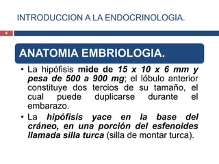 INTRODUCCION A LA ENDOCRINOLOGIA.
ANATOMIA EMBRIOLOGIA.
• La hipófisis mide de 15 x 10 x 6 mm y
pesa de 500 a 900 mg; el lóbulo anterior
constituye dos tercios de su tamaño, el
cual puede duplicarse durante el
embarazo.
• La hipófisis yace en la base del
cráneo, en una porción del esfenoides
llamada silla turca (silla de montar turca).
8
 