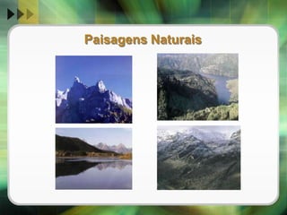 Vantagens e Desvantagens da Observação Directa e Indirecta